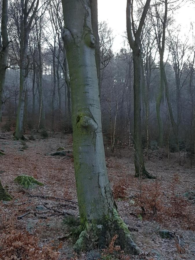 Pilgrims "Franz" Grosszuegige Unterkunft Sauerland Meschede Exteriör bild