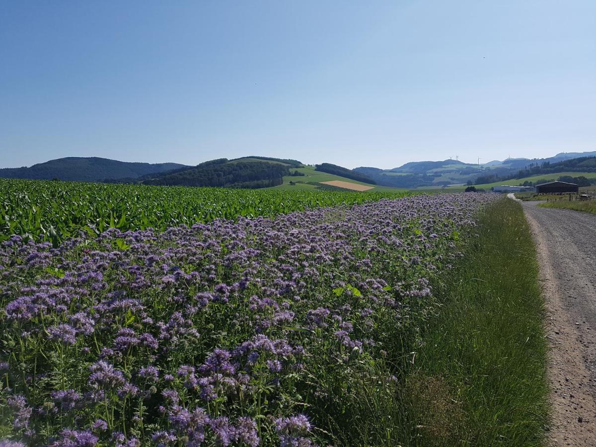 Pilgrims "Franz" Grosszuegige Unterkunft Sauerland Meschede Exteriör bild